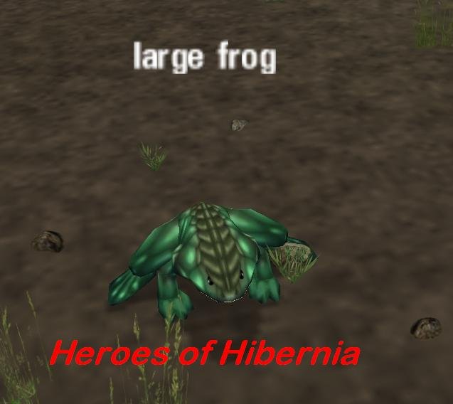 Picture of Large Frog